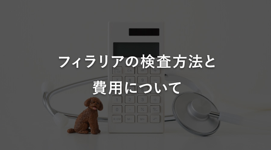 フィラリアの検査方法と費用について