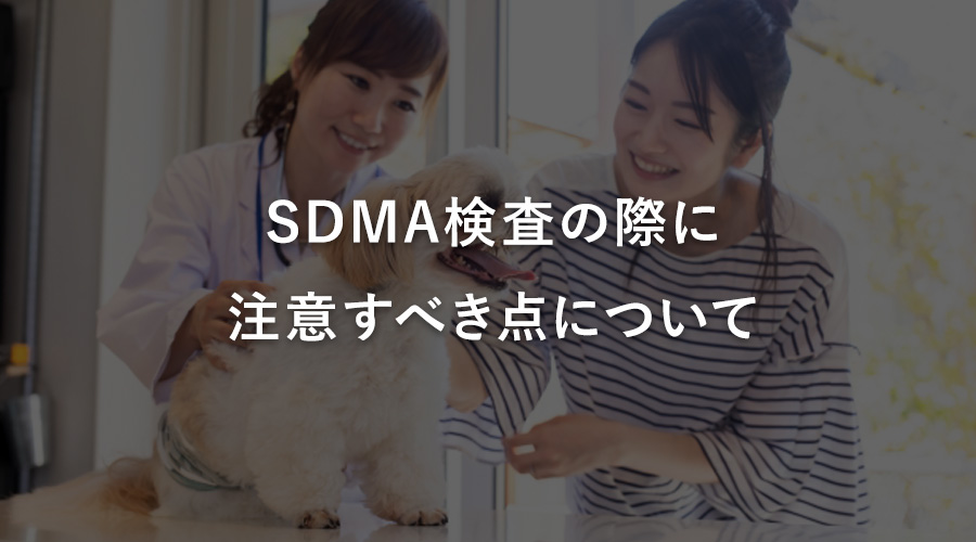 SDMA検査の際に注意すべき点について