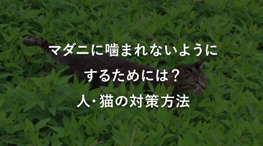 マダニに噛まれないようにするためには？人・猫の対策方法