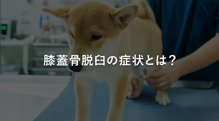 膝蓋骨脱臼の症状とは？