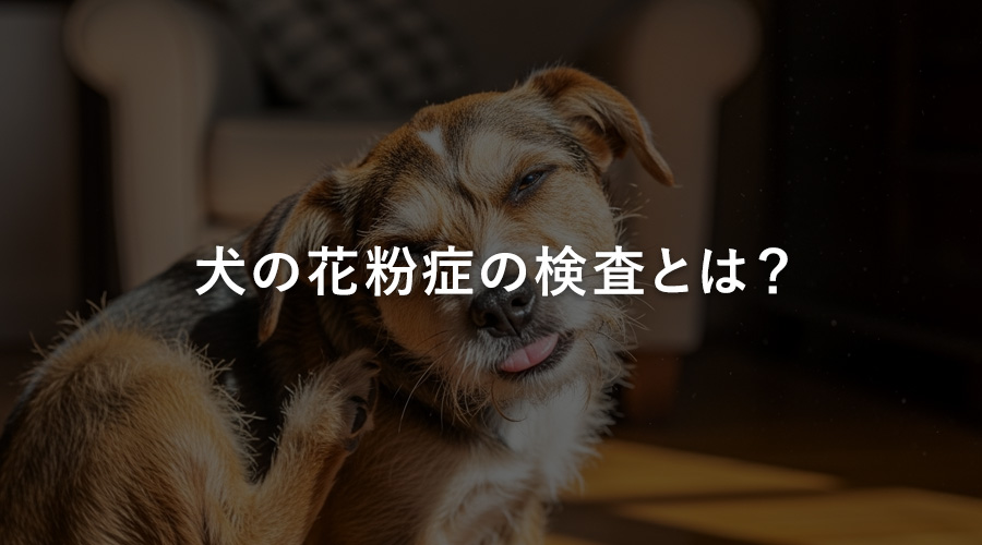 犬の花粉症の検査とは?
