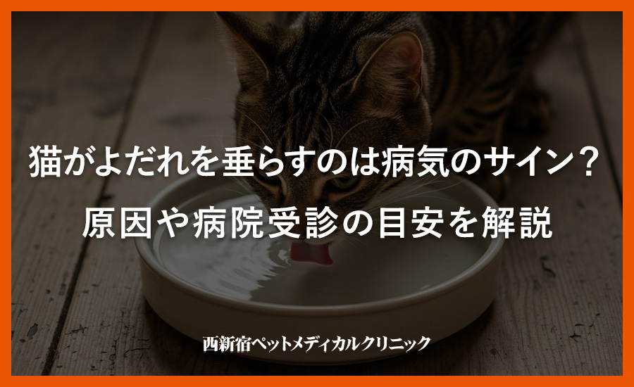 猫がよだれを垂らすのは病気のサイン？原因や病院受診の目安を解説