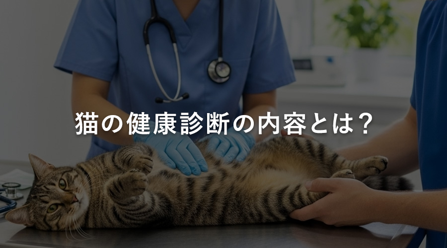猫の健康診断の内容とは？